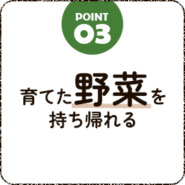 bnrmany03_bg